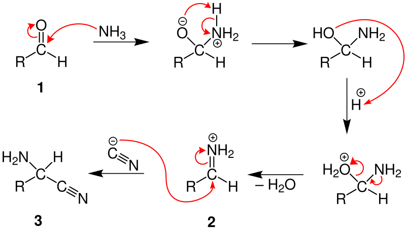 File:Strecker-Synthese Mech1 V5.svg