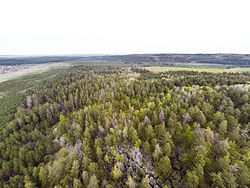 Racheyskiye Rocks, a protected area of Russia in Syzransky District