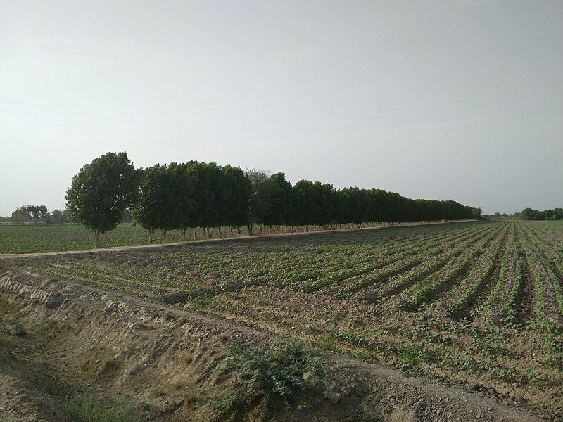 File:Agricultural land view.jpg