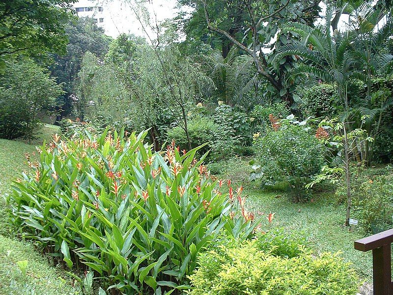 File:Alex Hosp gardens.jpg