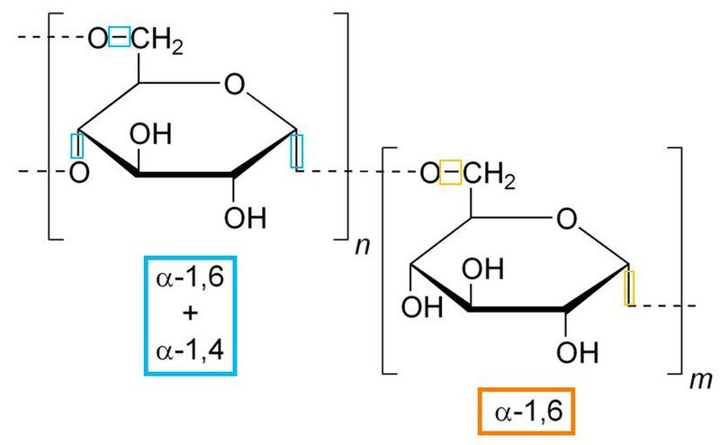 File:Alphaglucanguide.jpg