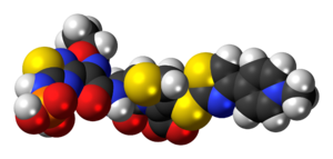 Space-filling model of the ceftaroline fosamil molecule as a zwitterion