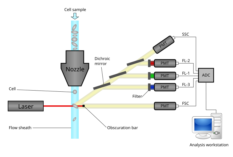 File:Cytometer.svg