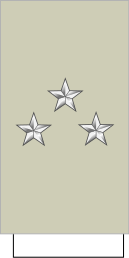 File:France-Army-OF-7 Sleeve.svg