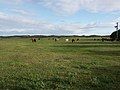 Greenough, Western Australia