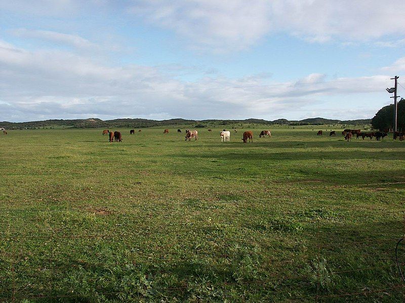 File:Greenough, Western Australia.jpg