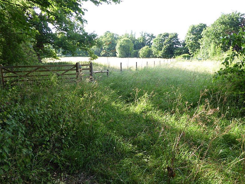 File:Hutchison's Meadow 1.jpg