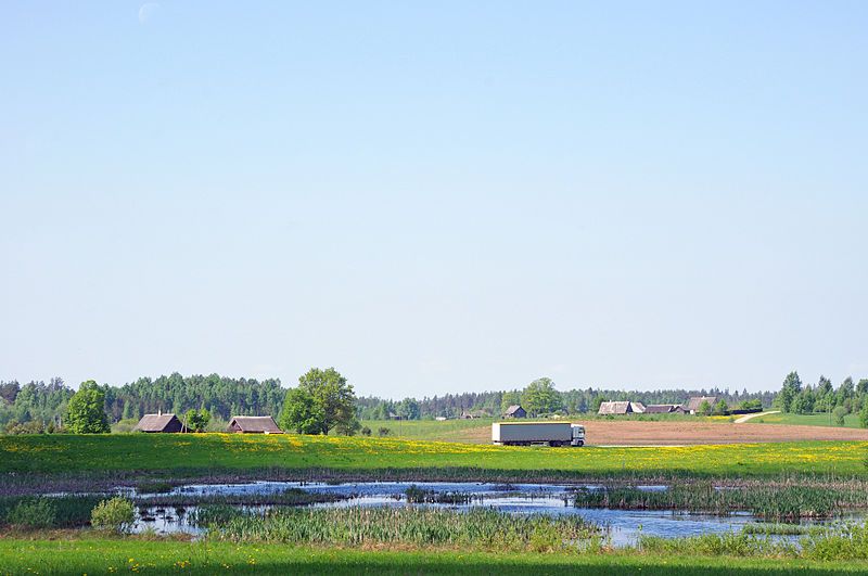 File:Laanemetsa.JPG