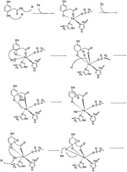 File:Mech01.jpg