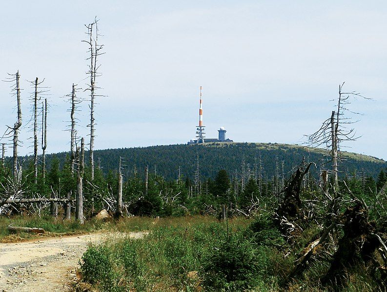 File:Nationalpark Harz.jpg