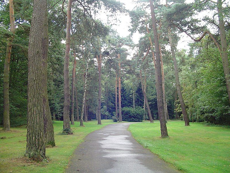 File:Ostfriedhof-Koeln01.jpg