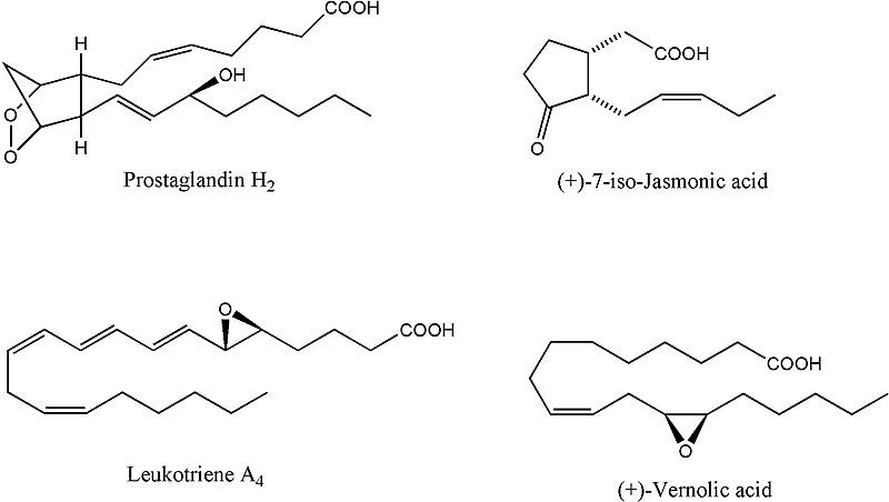 File:Oxylipins.jpg