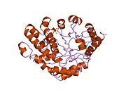 1uro: UROPORPHYRINOGEN DECARBOXYLASE