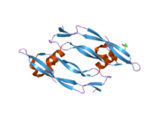 2c7w: CRYSTAL STRUCTURE OF HUMAN VASCULAR ENDOTHELIAL GROWTH FACTOR-B: IDENTIFICATION OF AMINO ACIDS IMPORTANT FOR ANGIOGENINC ACTIVITY