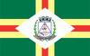 Flag of Padre Paraíso