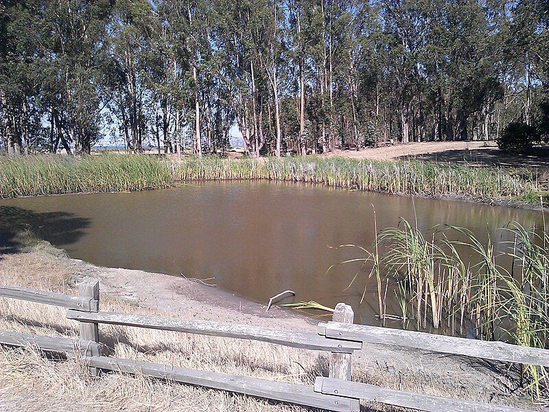 File:Point pinole lagoon.jpg