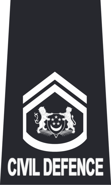 File:SCDF WO2.png