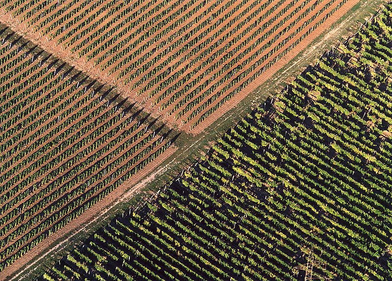 File:Tokaj-Hegyalja.jpg