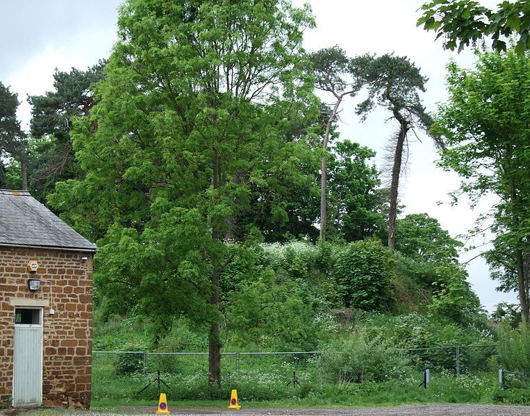 File:Towcester Motte 2008-05-17.jpg