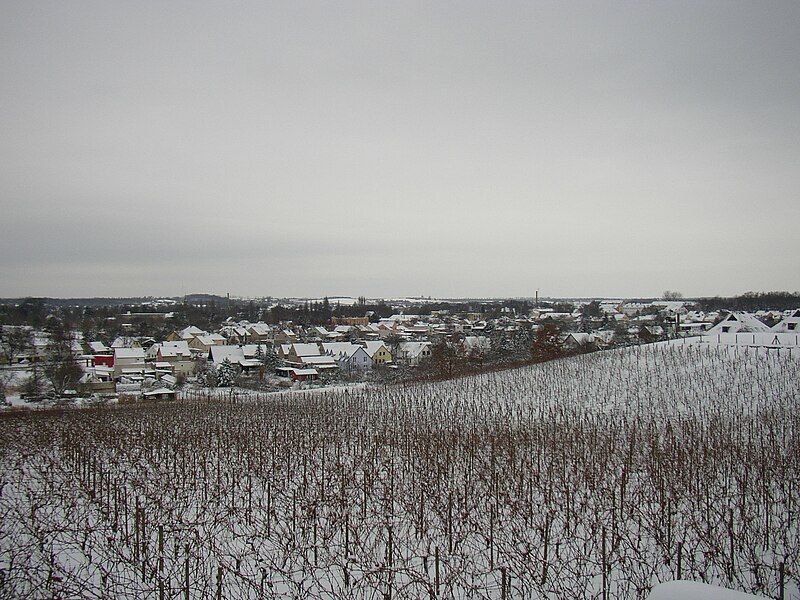 File:Wachtelberg 01.01.2010 (1).JPG