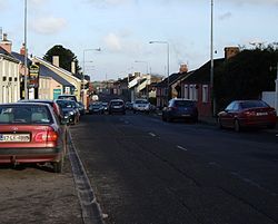 The R639 road (main street) through Watergrasshill