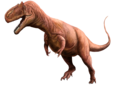 Allosaurus fragilis