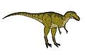 Albertosaurus.