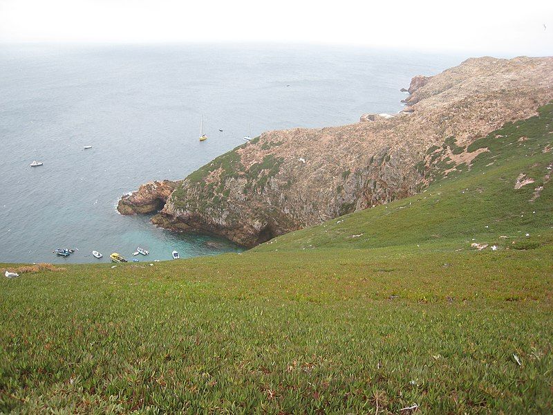 File:Berlenga4.jpg