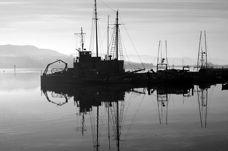 File:Bodega Harbor.jpg