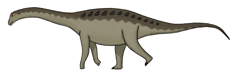 File:Bonatitan reconstruction.png