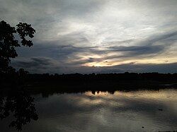 Pond in Chandpara