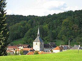 Village of Cirey-sur-Blaise