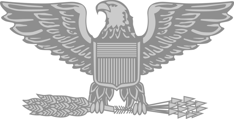 File:Colonel insignia.png