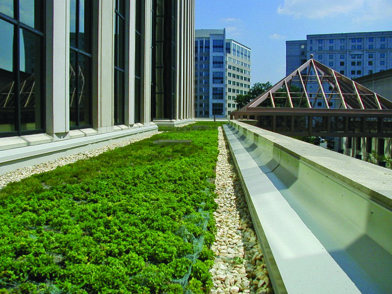 File:Green roof.jpg