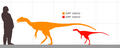 Guanlong size