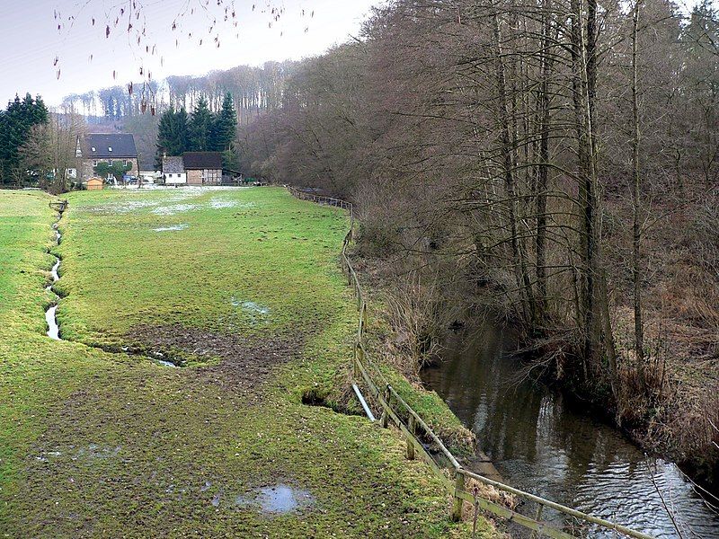 File:Holzape bei Wuelmersen.jpg