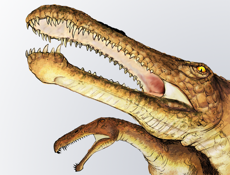 File:Irritator dinosaur.png