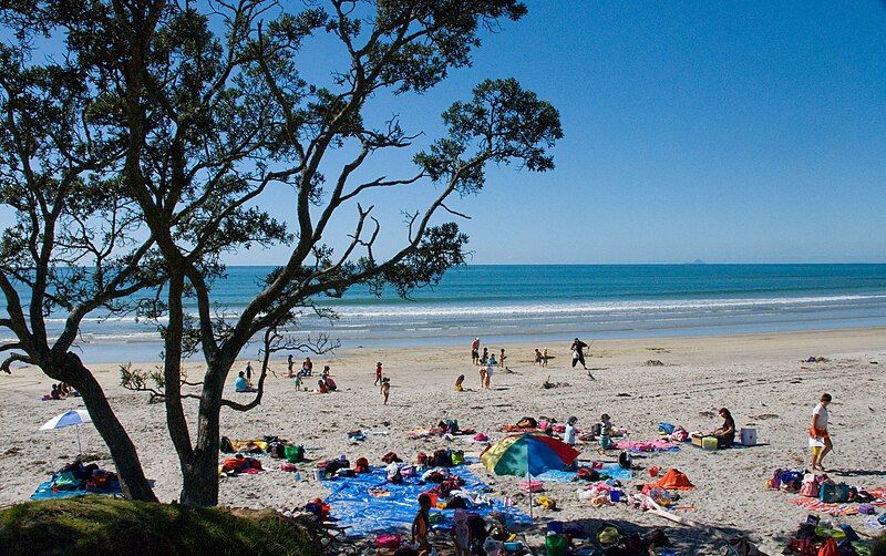 File:Maketu beach picnic.jpg