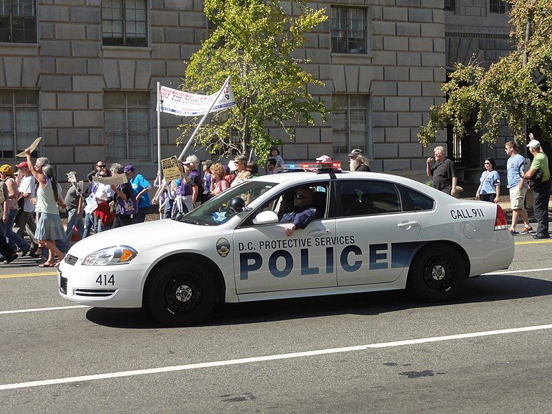 File:PSPDcruiser5.jpg