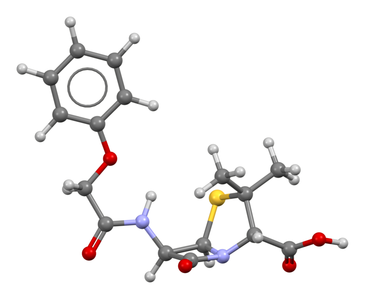 File:Phenoxymethylpenicillin-from-xtal-3D-bs-17.png