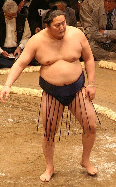 File:Sumo May09 Tokitenku.jpg