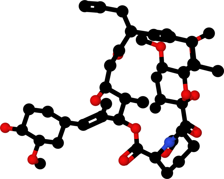 File:Tacrolimus-1YAT-ball-and-stick-model.png