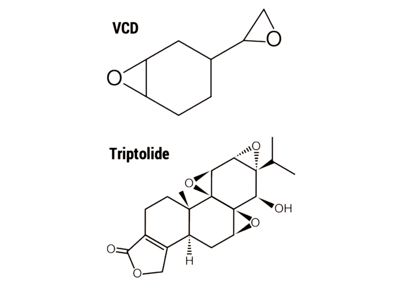 File:VCD and Triptolide.png