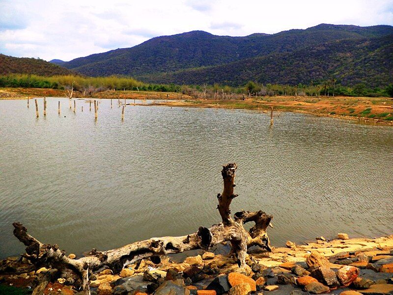 File:Vallimadurai Dam.JPG