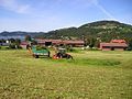 Local farm area in Vikebygd