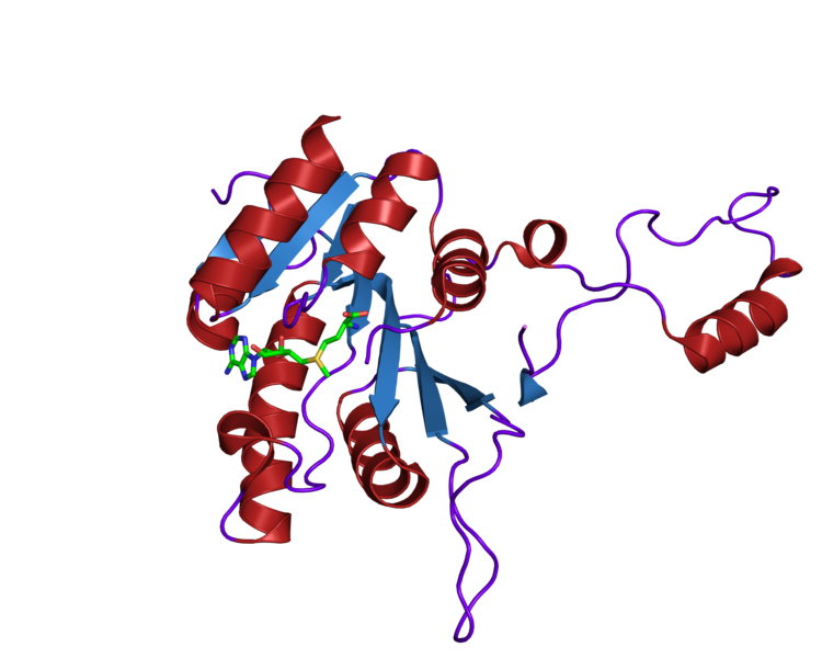 File:1g60 structure.png