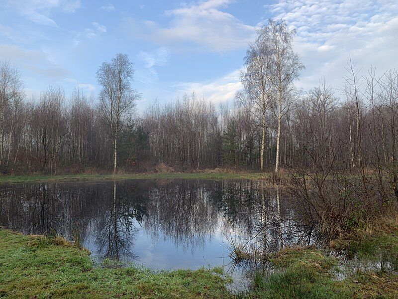 File:Achterveld Eendenvijver.jpg