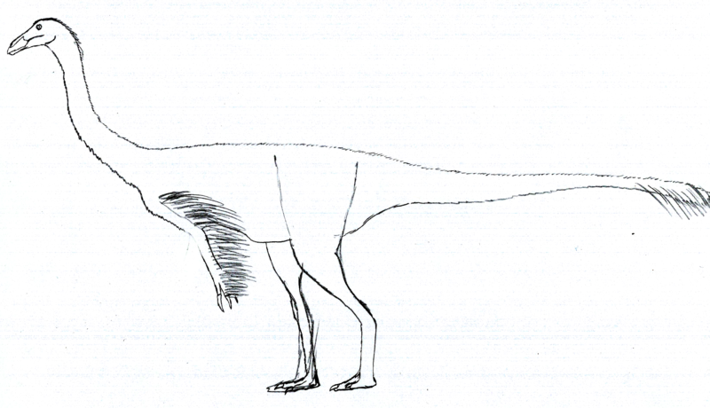 File:Anserimimus LM.png