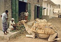 Yemeni man tying his Saroon. Sometimes people keep money or small utensils in the folds of the futah.