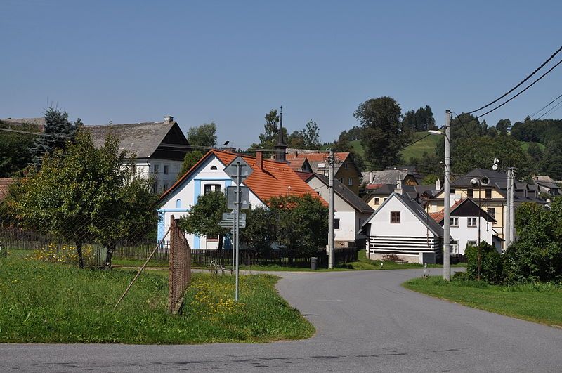 File:Borovnice(ZR)2011.jpg